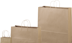 Flexicore Packaging Brown Kraft Paper Gift Bags & Green Gift Wrap Tissue  Paper Size: 8 Inch X 4.75 Inch X 10.5 Inch | Count: 50 Bags | Color: Green